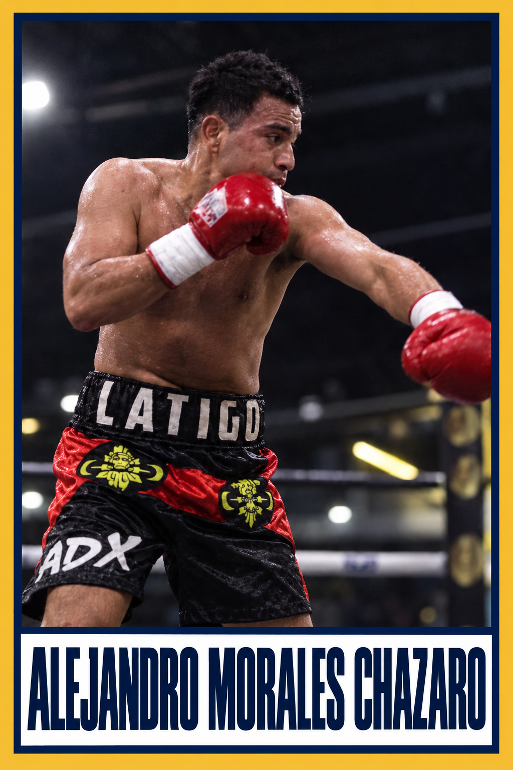 Alejandro Morales Chazaro boxing card with navy and gold borders